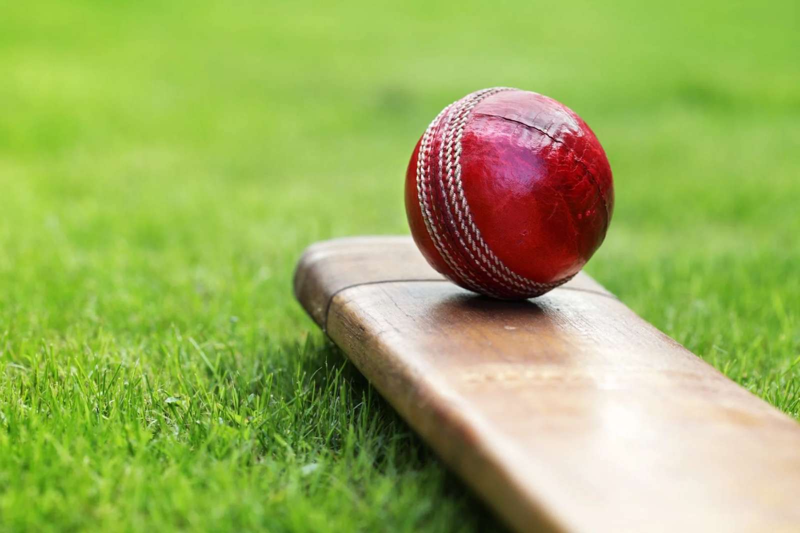 ICC names SAP as Analytics and Cloud Partner for 2015 WC