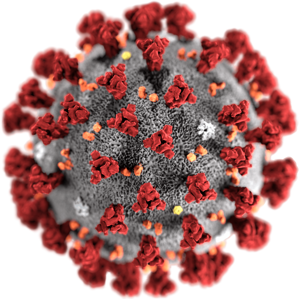 Corona Virus Package in R