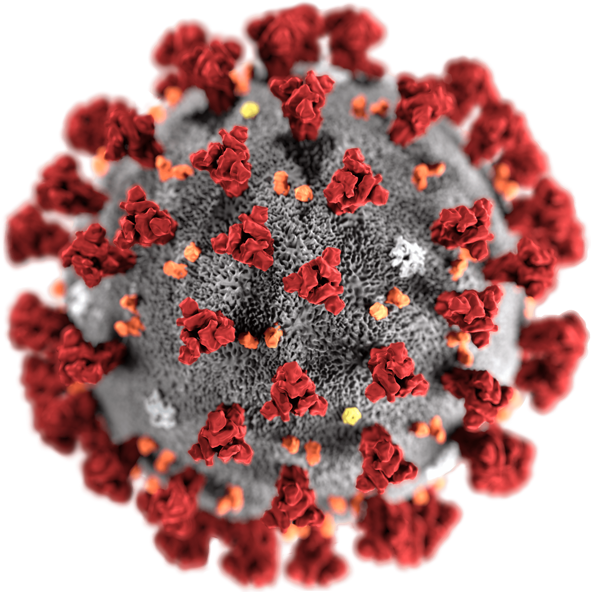 Corona Virus Package in R
