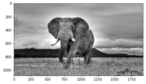 Image Feature Extraction using Scikit Image