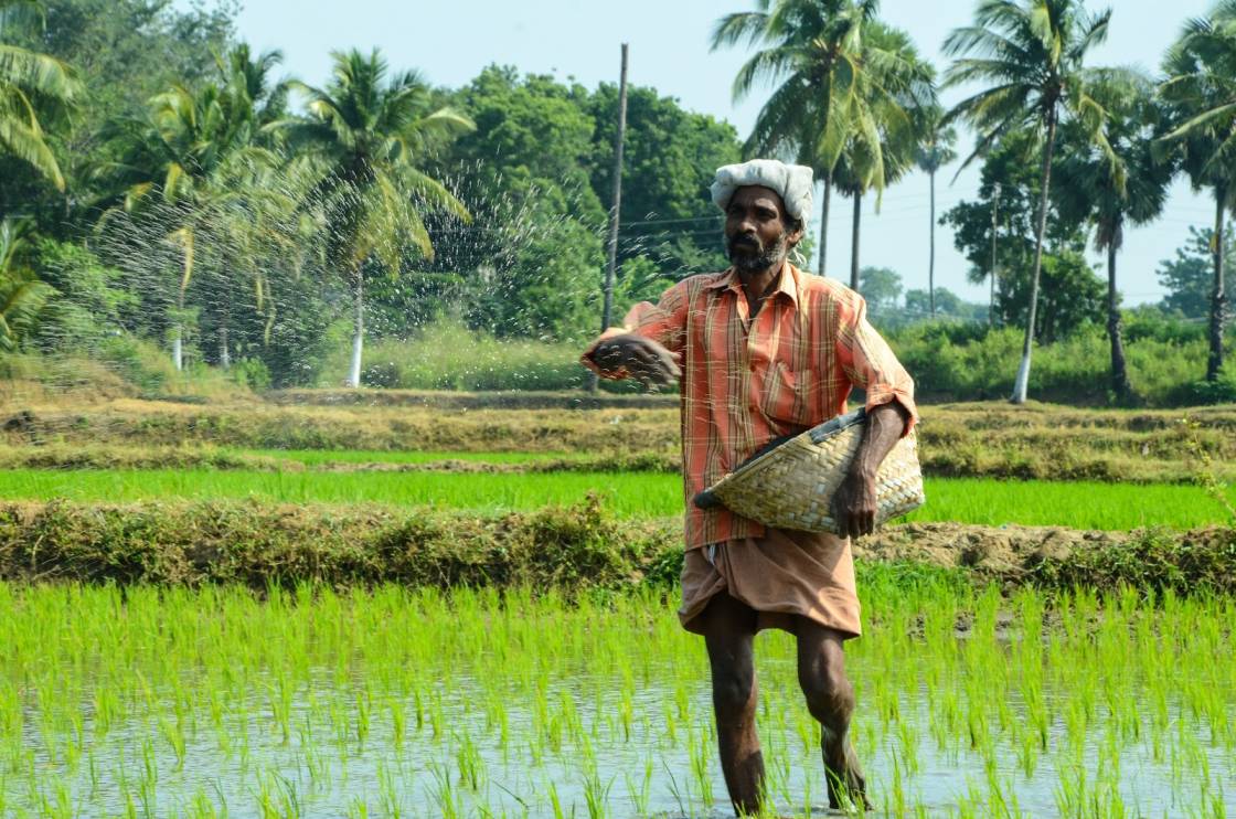 5 Tech Startups In India Working to Weed Out Middlemen From Agriculture Supply Chain