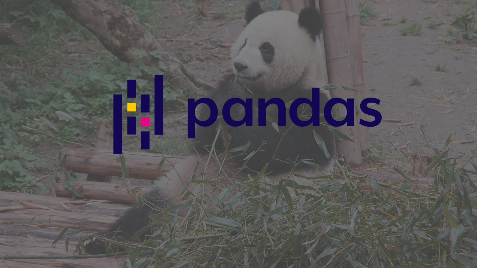 Pandas DataFrame