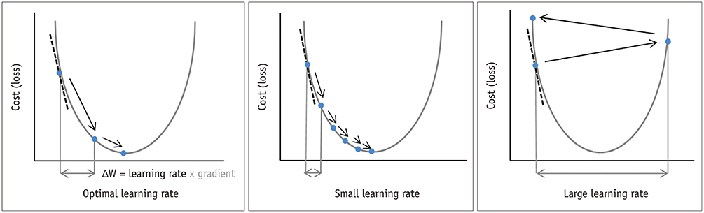 How to Use Learning Rate Annealing with Neural Networks?