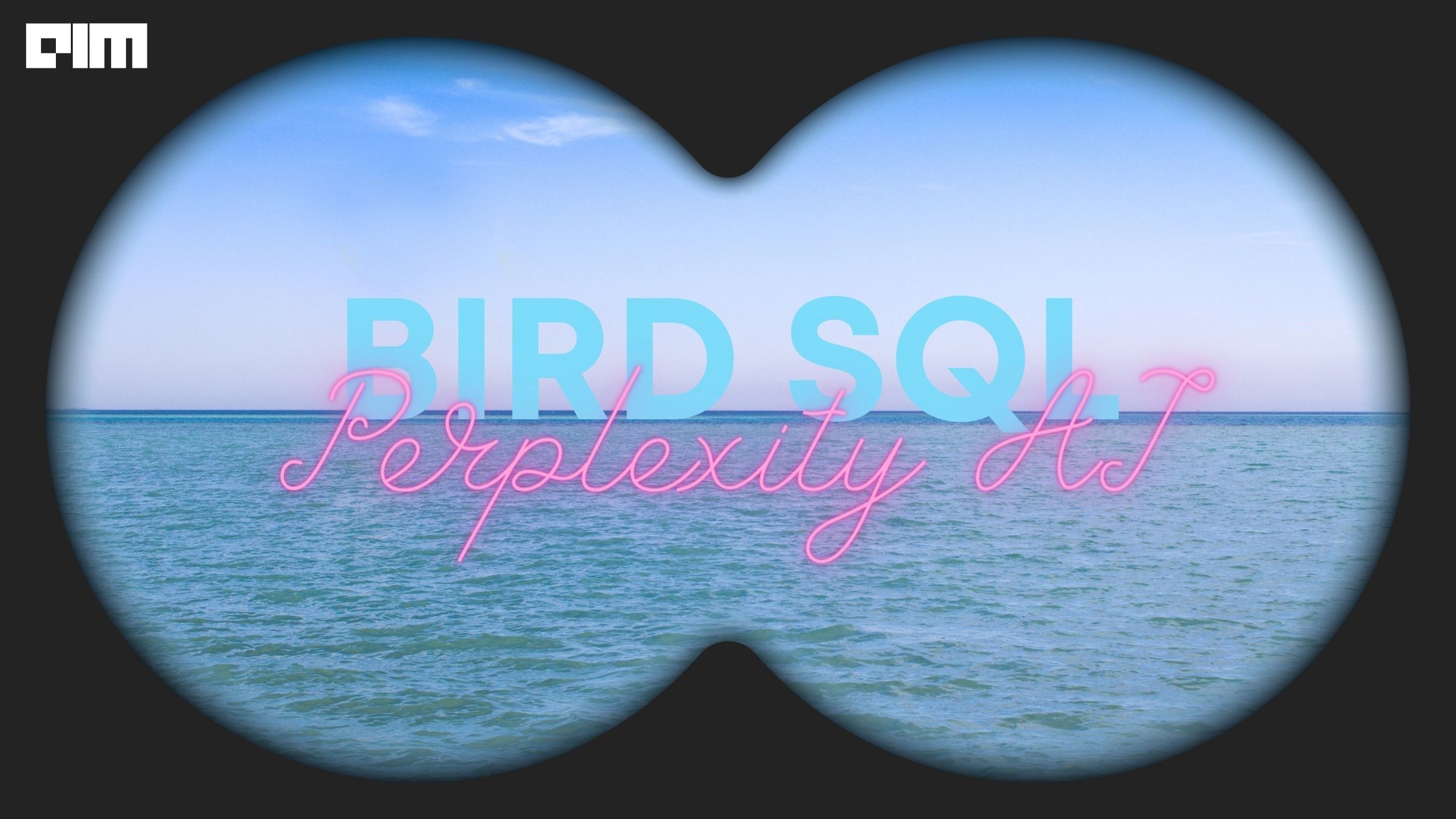 Perplexity AI Improves Twitter Search with BirdSQL