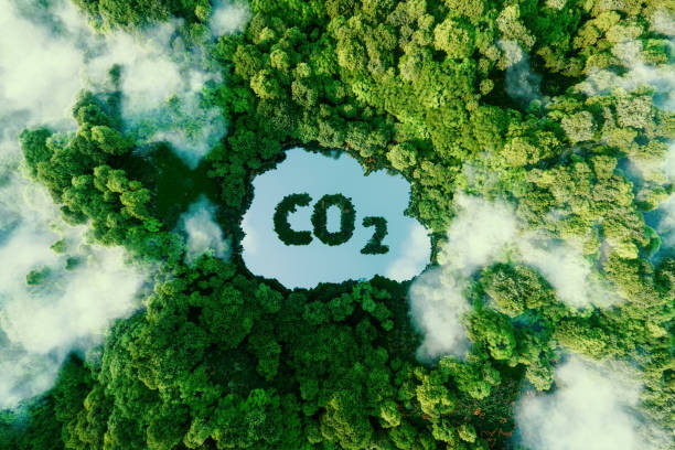 Researchers Found A Way to Make AI Emit Less CO2