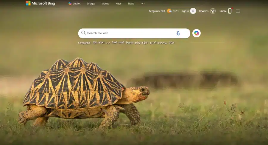 Bing AI Search Engine