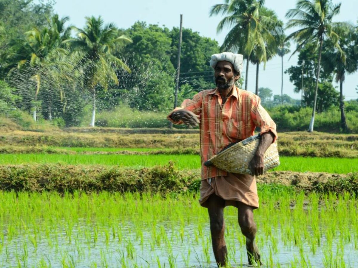 5 tech startups in india working to weed out middlemen from agriculture supply chain